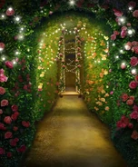 Hedge Maze (Night)