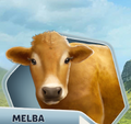 UB Melba