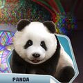 TRMCh07 - Panda
