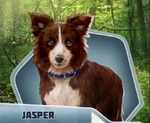 D&DBk2Ch08 - Jasper