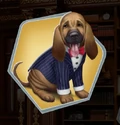 Boone Suit