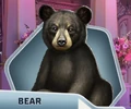 TPS Ch15 Bear
