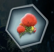 Ohia Lehua flower.png (1.53 MB) Ohia Lehua flower