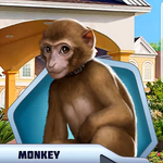 THMCh16 Monkey