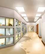 'WitchCon' Animal Shelter