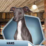 PtRCh14 Hans