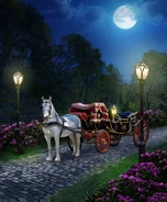 Hana's Carriage