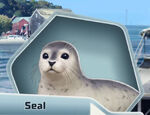 RT Seal