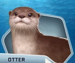 ID2 Ch02 Otter