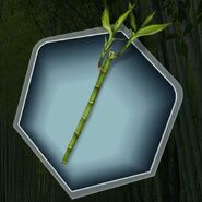 Bamboo