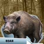 DDBk3Ch01 Boar