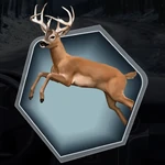Deer Doe Buck