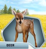 D&D Deer