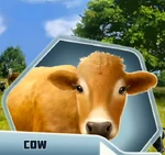 RCDBk3Ch14 Cow
