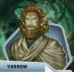 Yarrow