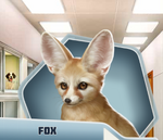 OHMiscCharCh12Fox