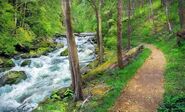 River Trail (Day)