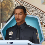 TDG Ch19 Cop