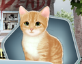 HOF Ch05 Kitten