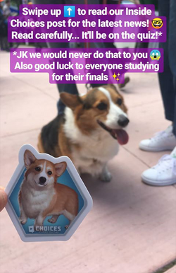 Guardian Tales - ENDING TOMORROW! Several corgis are missing! 😭 The puppers love to play Hide and Corgi! 🧐 Can you find them all? 🐶 Check out the full event