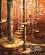 Ropes Course