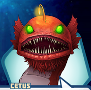 Cetus's Red Head