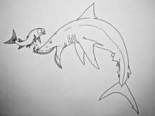 Edestus hunting style