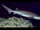 Bluntnose sixgill shark