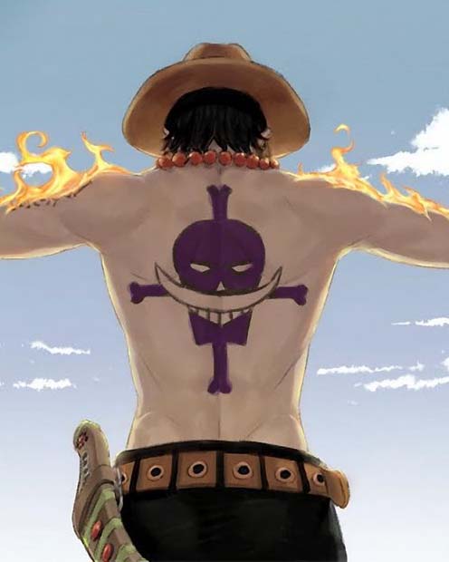 Ace & Luffy  Anime, Chapéu de palha, Portgas d. ace