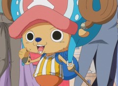 Tony Tony Chopper, Wiki Chopper