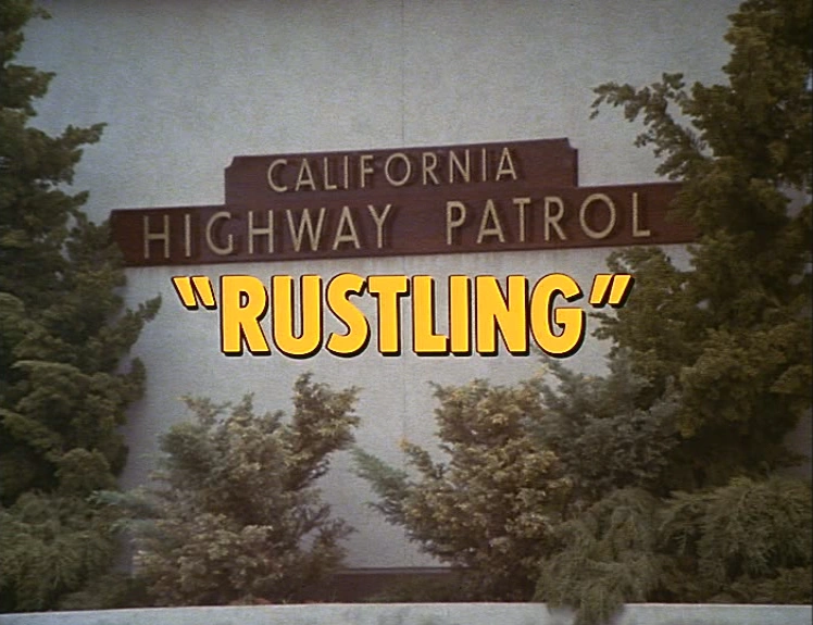 Rustling CHiP's Wikia Fandom