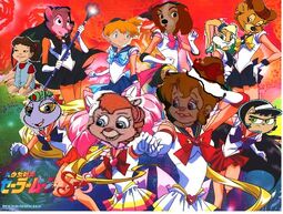 Sailor Scouts brittany