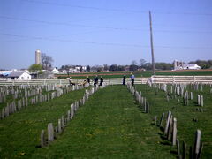 Amish cemetery