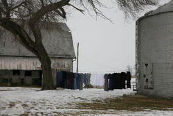 Amish clothesline 1