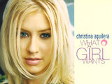 What a Girl Wants (song)