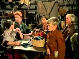 The Daniel Boone episode