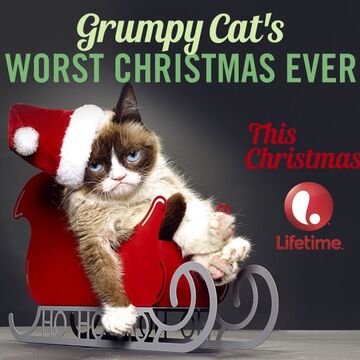 Grumpy Cat S Worst Christmas Ever Christmas Specials Wiki Fandom