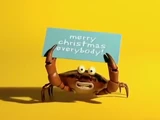 Merry Christmas Everybody!