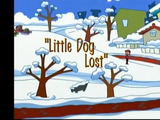 Little Dog Lost