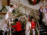 The Christmas Cruise