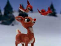 Rudolph-birds