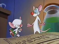 "Pinky, are you pondering what I'm pondering?" "Well, I think so, Brain, but 'apply North Pole' to what?"