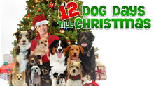 12DogDaysTillChristmas.jpeg