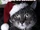A Meowy Christmas