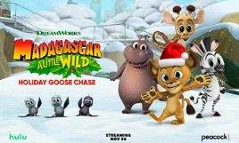 MadagascarALittleWild