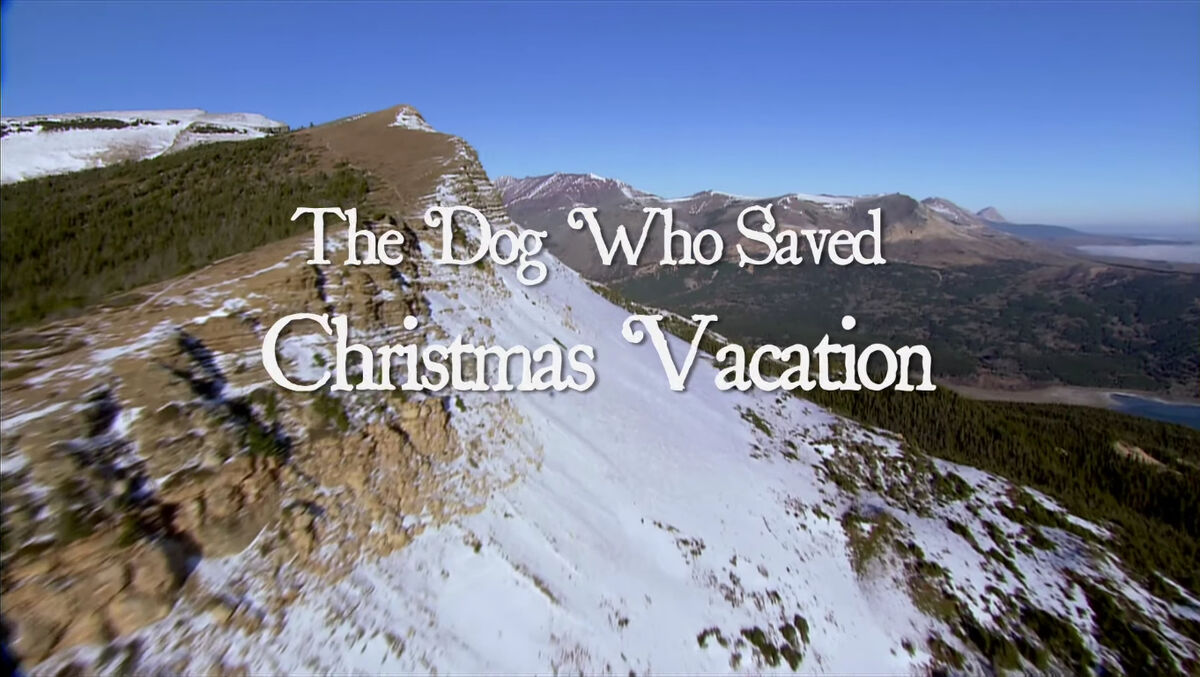 The Dog Who Saved Christmas Vacation Christmas Specials Wiki Fandom