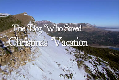 the dog who saved the holidays