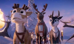 Niko-Beyond-the-Northern-Lights-1