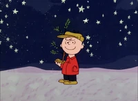 Outside, Charlie Brown reflects on Linus' speech.