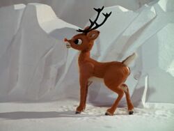 Grown-up Rudolph